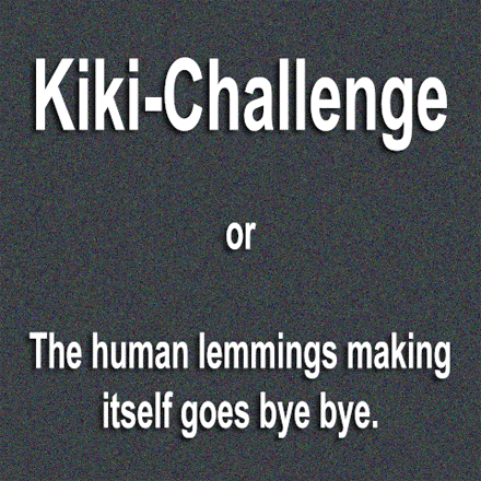 Kiki-Challenge - SEKUND, Potsdam Fahrland, Berlin, Brandenburg Deutschland